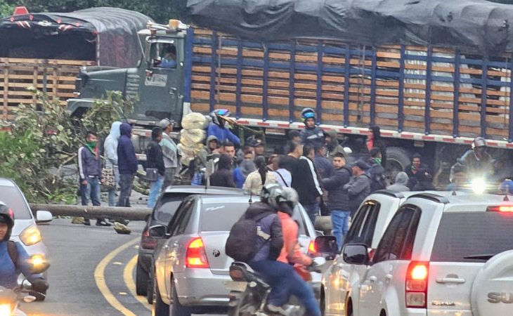 Bloqueada Vía Panamericana En Cauca Por Protesta De Indígenas El Nuevo Siglo 6332